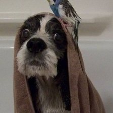 Схема вышивки «С легким паром»