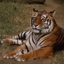 Схема вышивки «№213396»