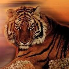 Схема вышивки «№213414»