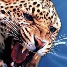 Схема вышивки «№213419»