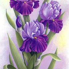 Схема вышивки «№213458»