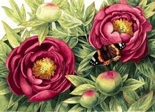 Схема вышивки «№213674»