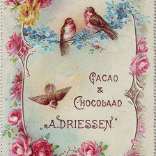 Схема вышивки «Розы»