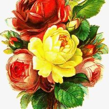 Схема вышивки «№213766»