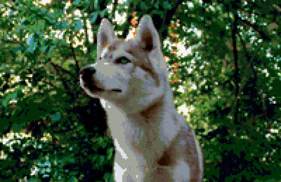 Закат - предпросмотр