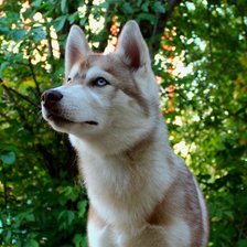 Схема вышивки «Закат»