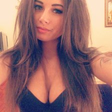 Схема вышивки «Диана Мелисон»