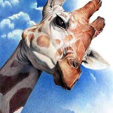 Схема вышивки «жираф»