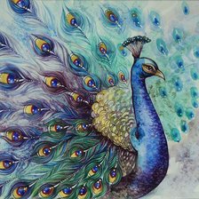 Схема вышивки «Павлин»