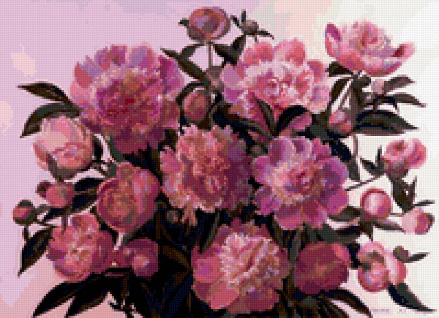 Пионы - букет, пионы, цветы, розовые - предпросмотр