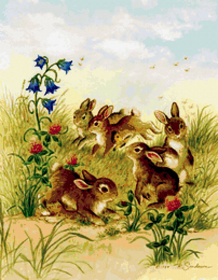 зайки - животные - предпросмотр