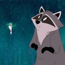 Схема вышивки «Енот»