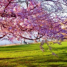 Схема вышивки «Весна»