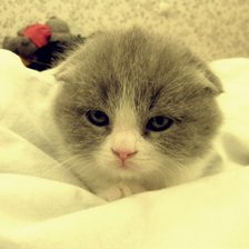 Схема вышивки «Мэйсон»