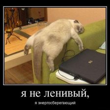 Схема вышивки «Cat»