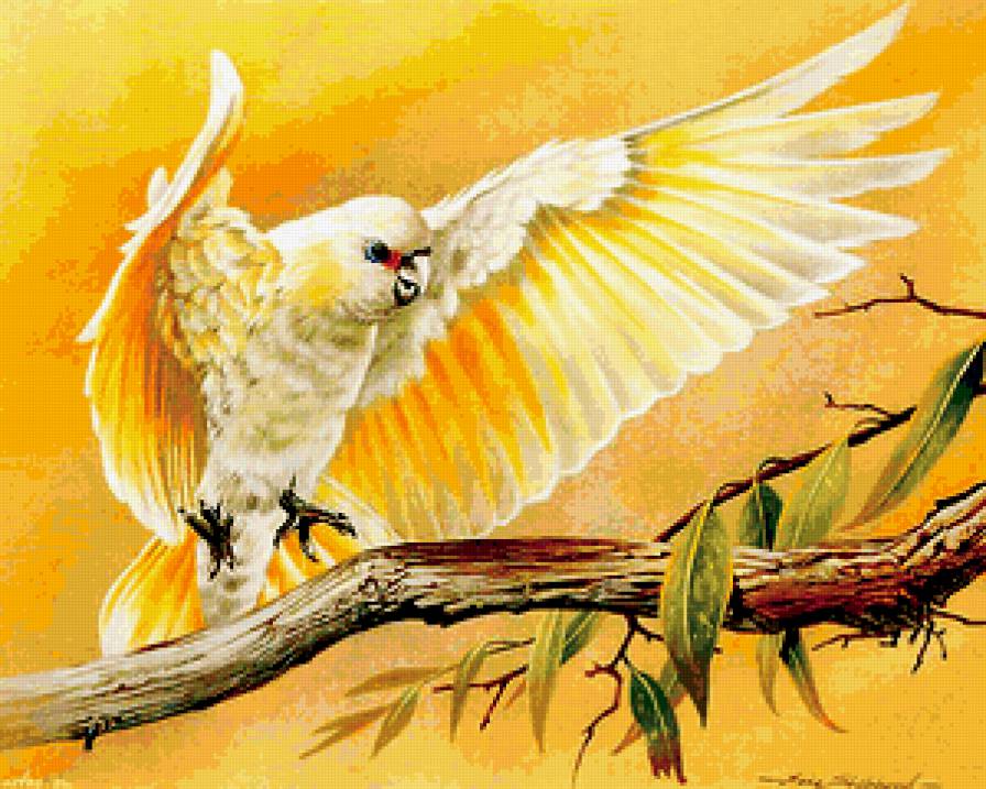 №214696 - предпросмотр