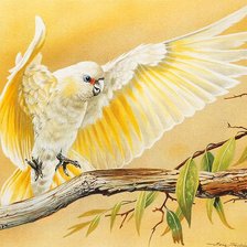 Схема вышивки «№214696»