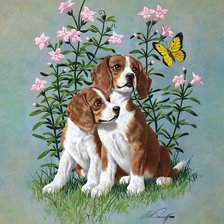 Схема вышивки «№214701»