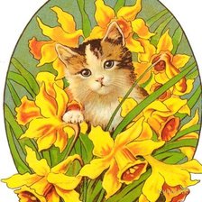 Схема вышивки «котенок в цветах»