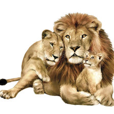 Схема вышивки «Львиная семья»