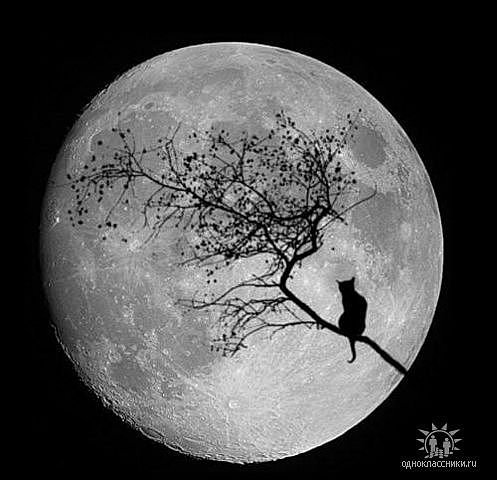 луна - оригинал