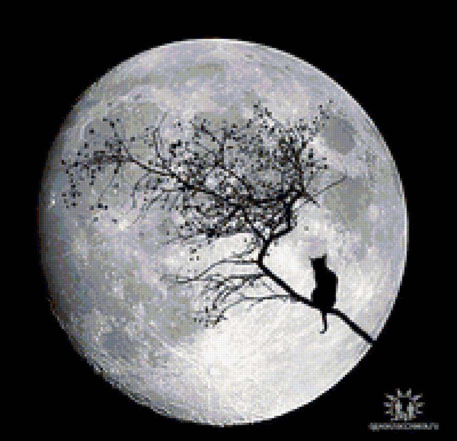 луна - предпросмотр