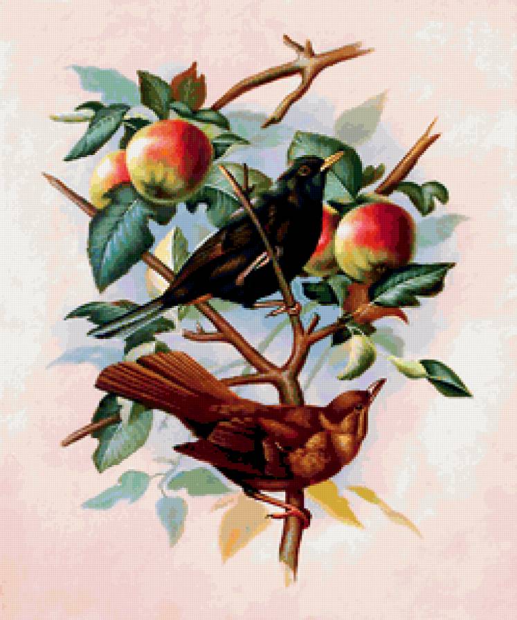 ДИПТИХ   "Две мелодии" - пара, яблоко, живопись, ветка, птички - предпросмотр