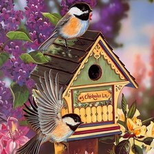 Схема вышивки «№214940»