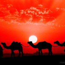 Схема вышивки «пустыня»