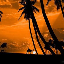 Схема вышивки «пустыня 2»