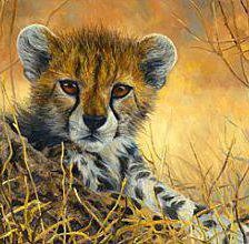 Схема вышивки «cheetah»