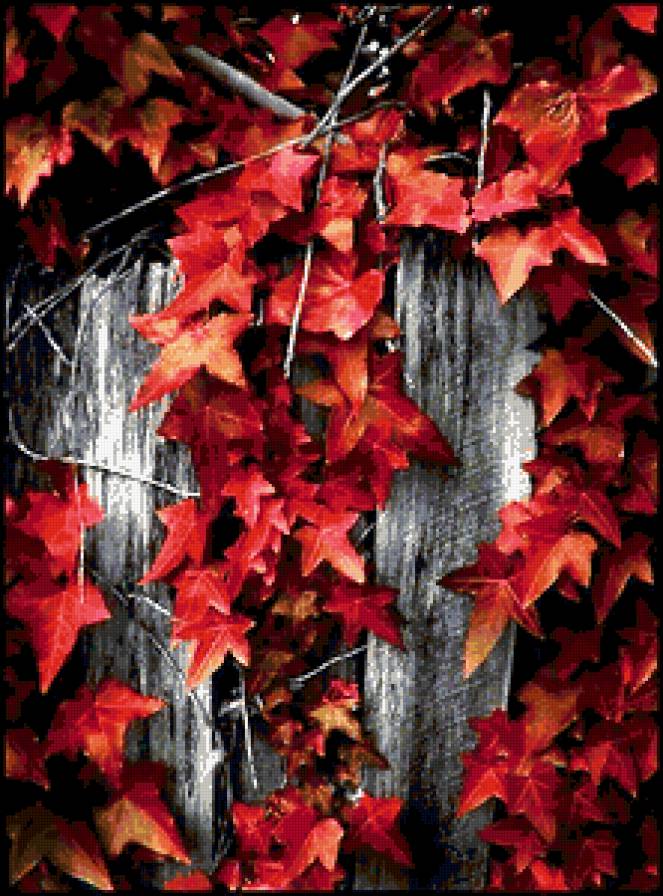 Осенние листья - осень, листики - предпросмотр