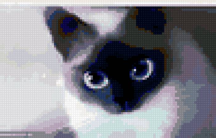 Котик - кошки, животные, кот - предпросмотр