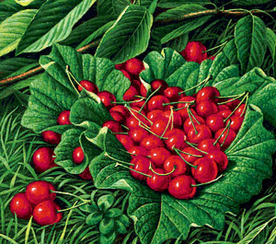 Вишни - вишни - предпросмотр