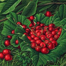 Схема вышивки «Вишни»