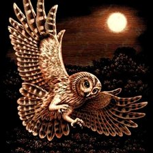 Схема вышивки «Полет Совы»