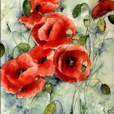 Схема вышивки «МАКИ»