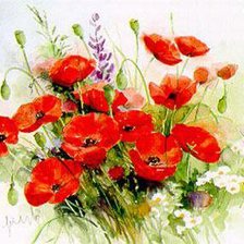 Схема вышивки «МАКИ»