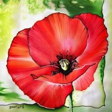 Схема вышивки «мак»