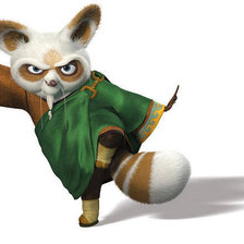 Схема вышивки «мастер шифу»