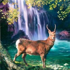 Схема вышивки «№215581»