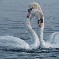 Схема вышивки «Лебеди»