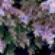 Предпросмотр схемы вышивки «Сиреневый рай» (№215858)