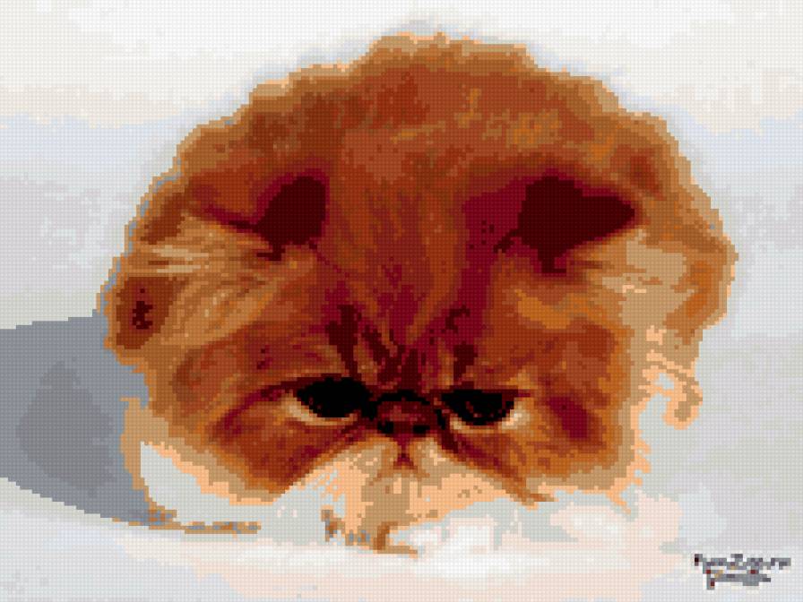 Пушистик - кот - предпросмотр