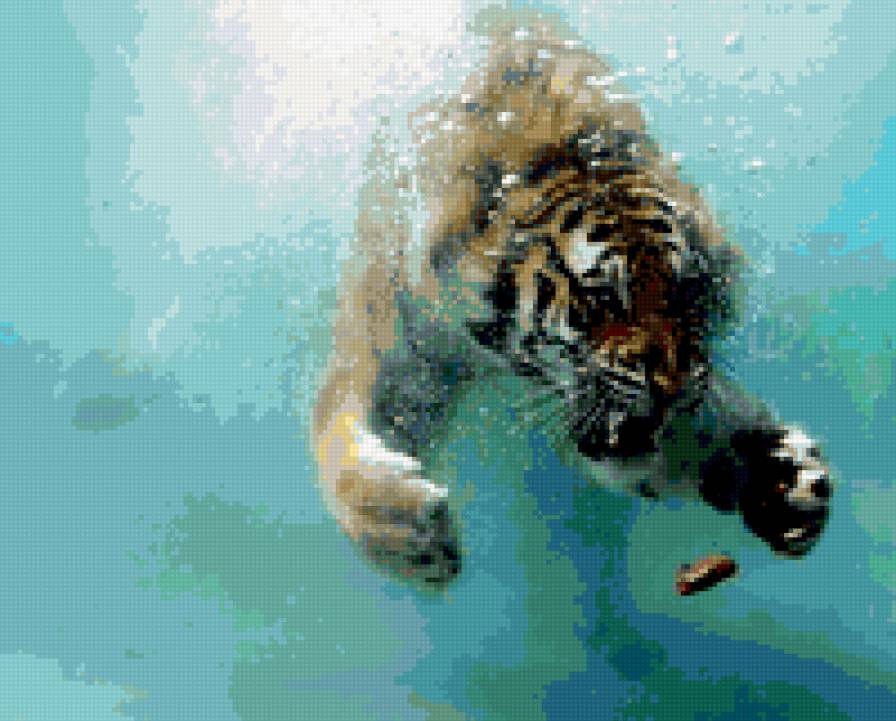 тигр в воде - животные, тигр, вода - предпросмотр