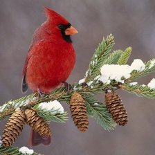 Схема вышивки «№216006»