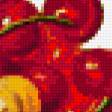 Предпросмотр схемы вышивки «Смородина» (№216009)