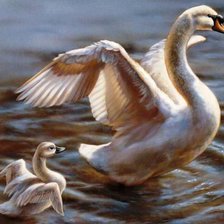 Схема вышивки «Лебединая семья»