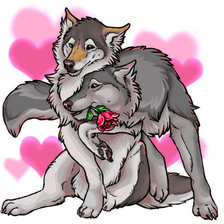 Схема вышивки «Влюблённые волки»