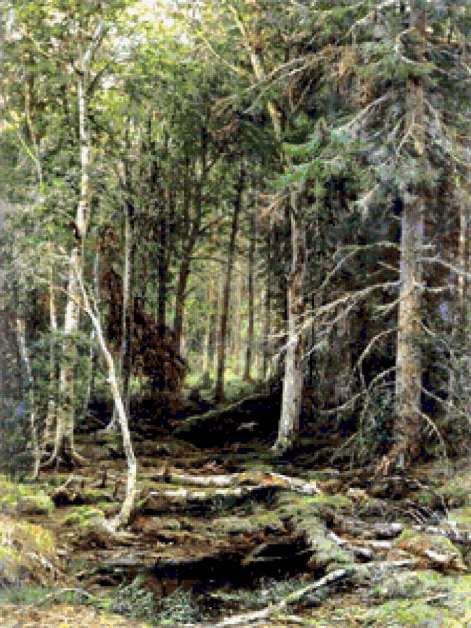 в лесной глуши - пейзаж, природа, лес - предпросмотр